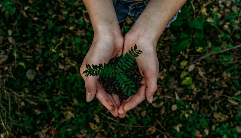 Odbiór odpadów z całej Polski - ekologiczne podejście ecomy